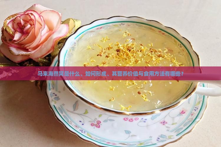 马来海燕窝是什么、如何形成、其营养价值与食用方法有哪些？