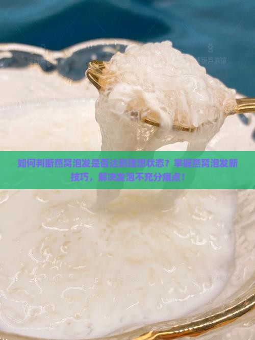 如何判断燕窝泡发是否达到理想状态？掌握燕窝泡发新技巧，解决发泡不充分痛点！