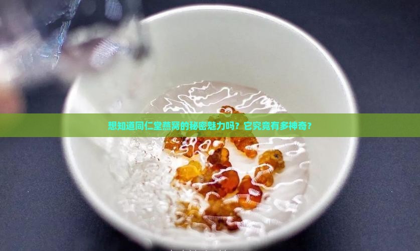 想知道同仁堂燕窝的秘密魅力吗？它究竟有多神奇？