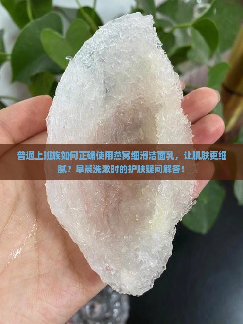 普通上班族如何正确使用燕窝细滑洁面乳，让肌肤更细腻？早晨洗漱时的护肤疑问解答！