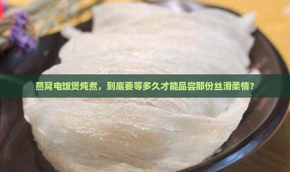 燕窝电饭煲炖煮，到底要等多久才能品尝那份丝滑柔情？