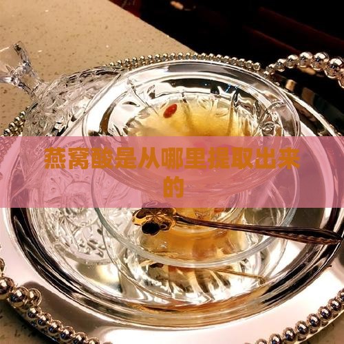 燕窝酸是从哪里提取出来的