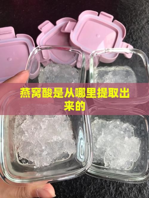 燕窝酸是从哪里提取出来的