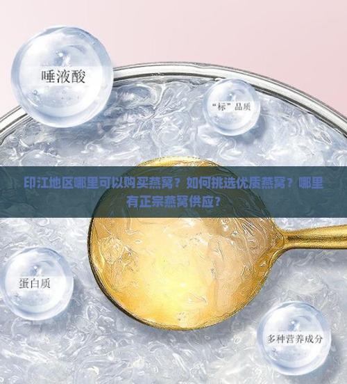 印江地区哪里可以购买燕窝？如何挑选优质燕窝？哪里有正宗燕窝供应？