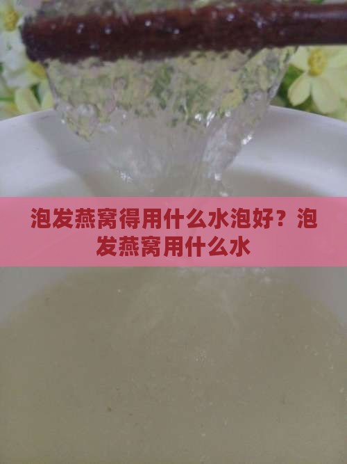 泡发燕窝得用什么水泡好？泡发燕窝用什么水