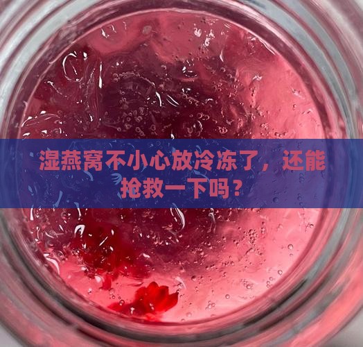 湿燕窝不小心放冷冻了，还能抢救一下吗？