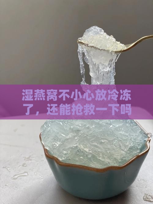 湿燕窝不小心放冷冻了，还能抢救一下吗？