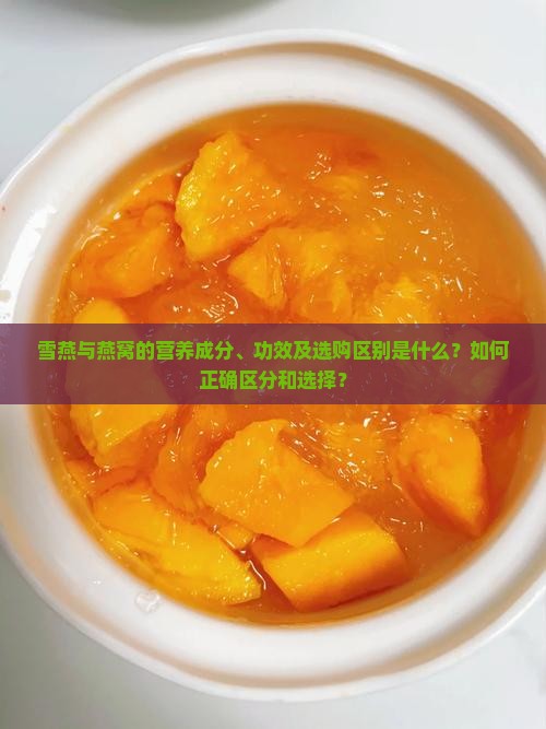 雪燕与燕窝的营养成分、功效及选购区别是什么？如何正确区分和选择？