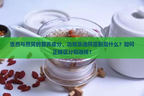 雪燕与燕窝的营养成分、功效及选购区别是什么？如何正确区分和选择？
