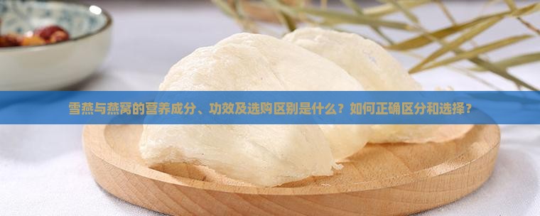 雪燕与燕窝的营养成分、功效及选购区别是什么？如何正确区分和选择？