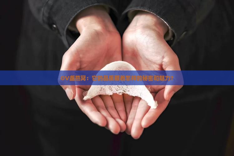OV盏燕窝：它的品质藏着怎样的秘密和魅力？