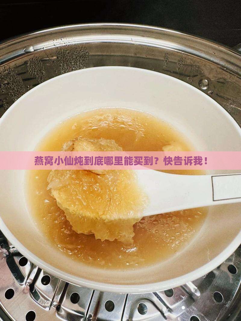 燕窝小仙炖到底哪里能买到？快告诉我！