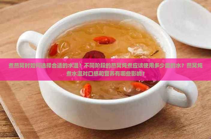 煮燕窝时如何选择合适的水温？不同阶段的燕窝炖煮应该使用多少度的水？燕窝炖煮水温对口感和营养有哪些影响？