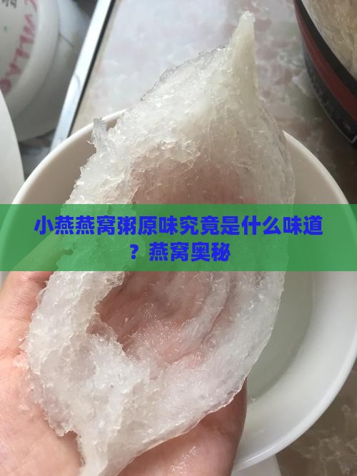 小燕燕窝粥原味究竟是什么味道？燕窝奥秘