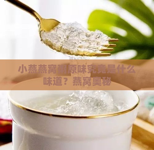 小燕燕窝粥原味究竟是什么味道？燕窝奥秘