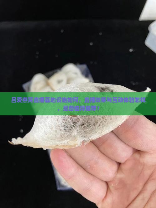 吕爱燕窝直播基地设施如何，直播效果与互动体验怎样，是否值得推荐？