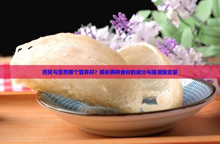 燕窝与雪燕哪个营养好？解析两种食材的成分与唾液酸含量