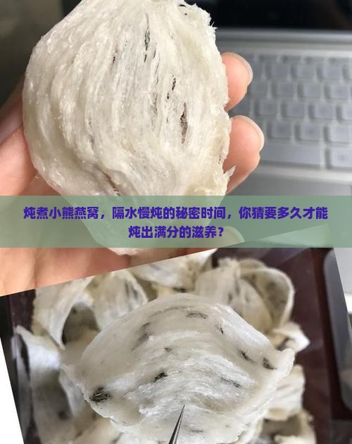 炖煮小熊燕窝，隔水慢炖的秘密时间，你猜要多久才能炖出满分的滋养？