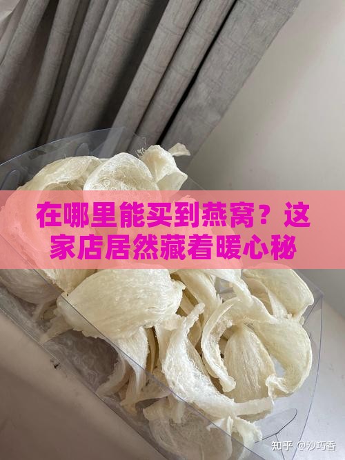 在哪里能买到燕窝？这家店居然藏着暖心秘密