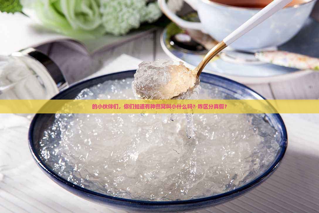 的小伙伴们，你们知道有种燕窝叫小什么吗？咋区分真假？