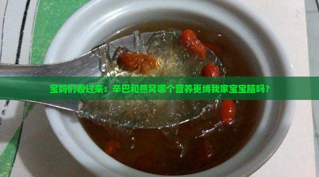 宝妈们看过来：辛巴和燕窝哪个营养更缚我家宝宝脑吗？