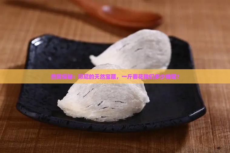燕窝探秘：印尼的天然宝藏，一斤要花我们多少钱呢？