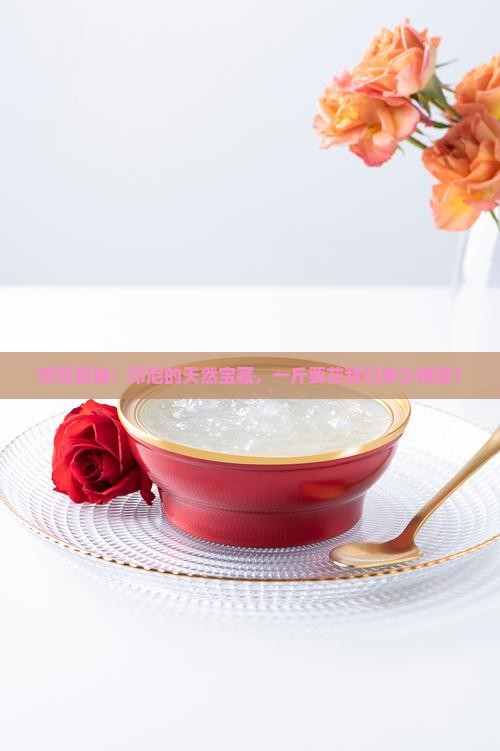 燕窝探秘：印尼的天然宝藏，一斤要花我们多少钱呢？