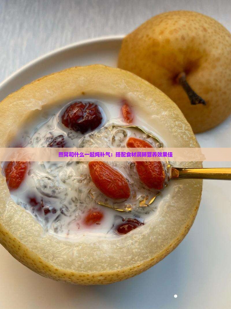 燕窝和什么一起炖补气：搭配食材润肺营养效果佳