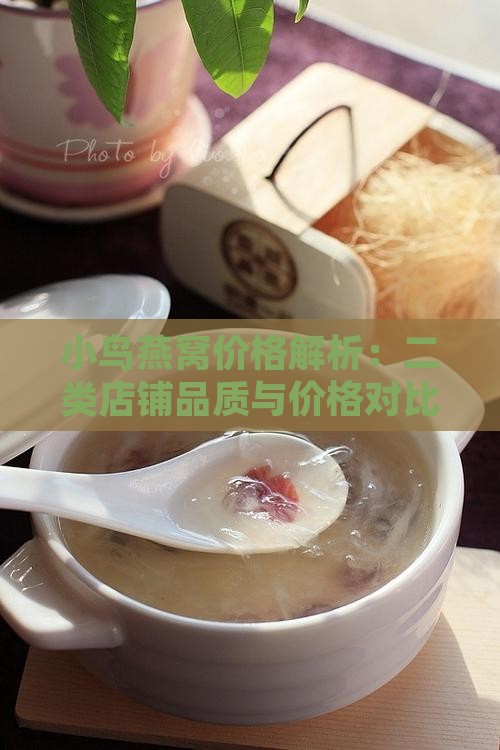 小鸟燕窝价格解析：二类店铺品质与价格对比