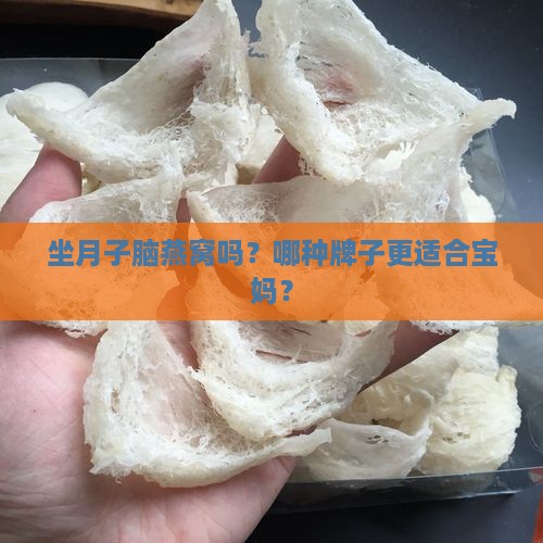 坐月子脑燕窝吗？哪种牌子更适合宝妈？
