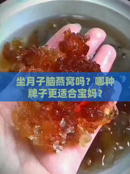 坐月子脑燕窝吗？哪种牌子更适合宝妈？
