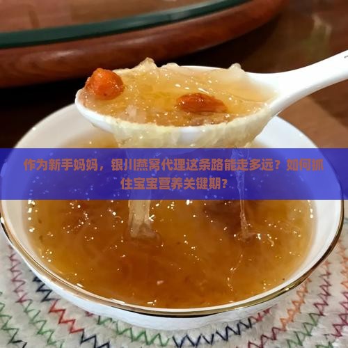 作为新手妈妈，银川燕窝代理这条路能走多远？如何抓住宝宝营养关键期？