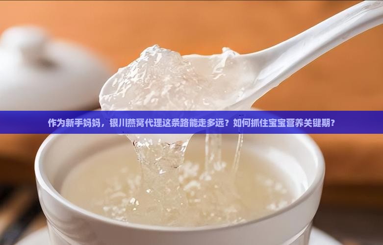 作为新手妈妈，银川燕窝代理这条路能走多远？如何抓住宝宝营养关键期？