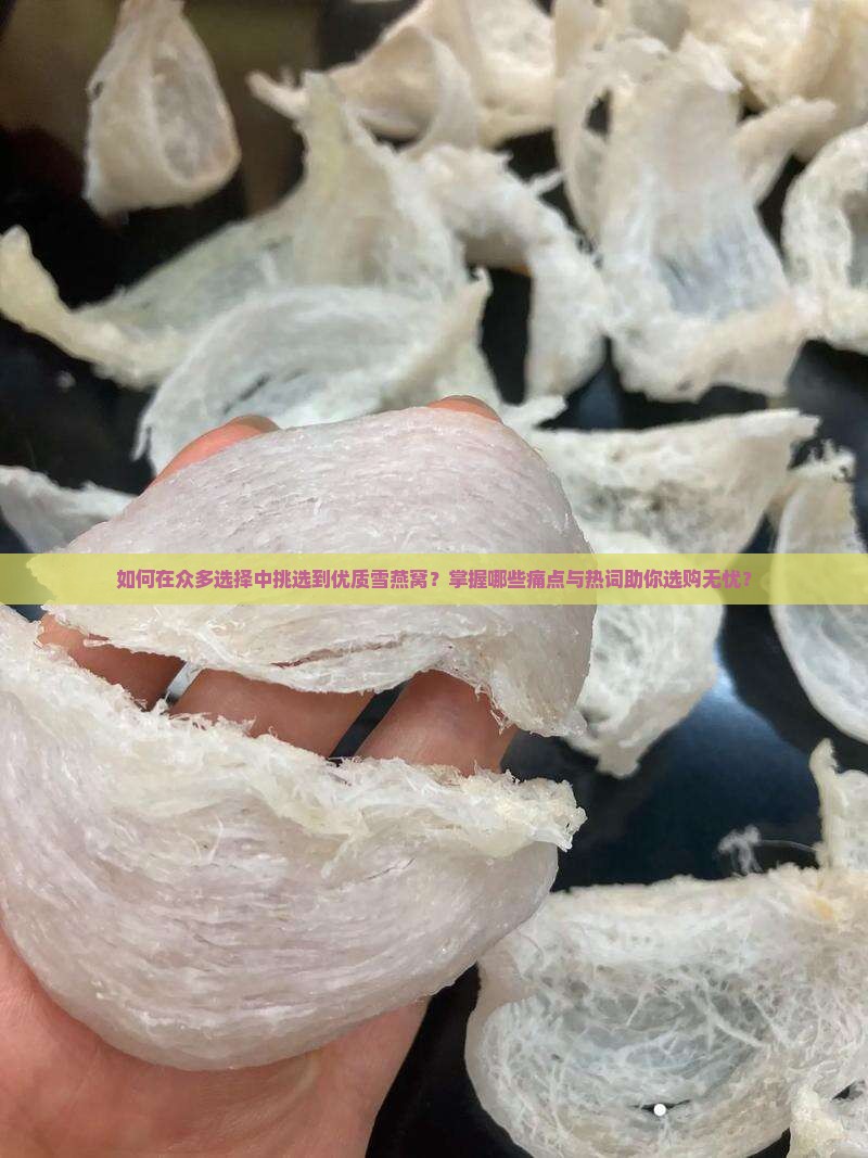 如何在众多选择中挑选到优质雪燕窝？掌握哪些痛点与热词助你选购无忧？