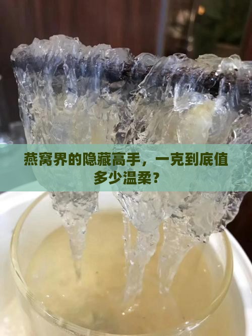 燕窝界的隐藏高手，一克到底值多少温柔？