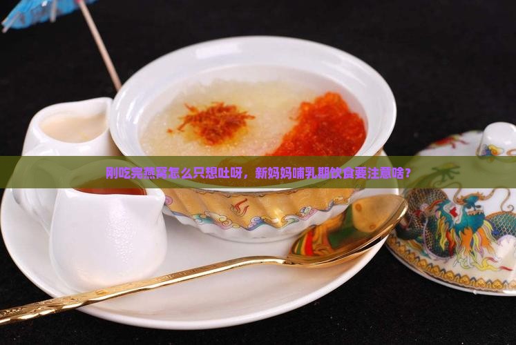 刚吃完燕窝怎么只想吐呀，新妈妈哺乳期饮食要注意啥？