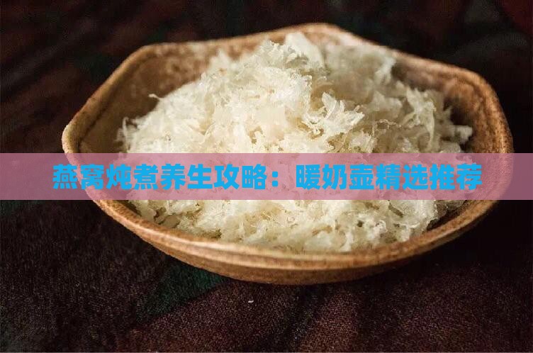 燕窝炖煮养生攻略：暖奶壶精选推荐