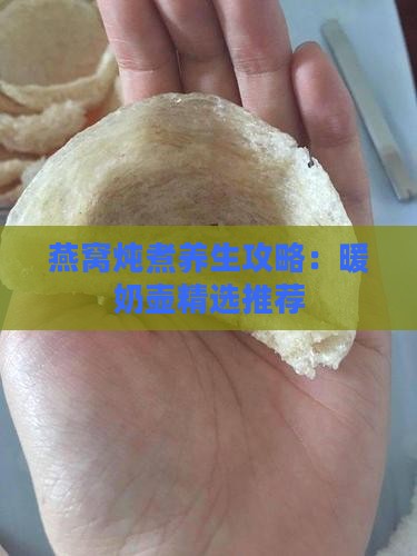 燕窝炖煮养生攻略：暖奶壶精选推荐