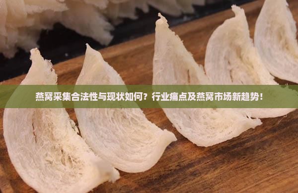 燕窝采集合法性与现状如何？行业痛点及燕窝市场新趋势！