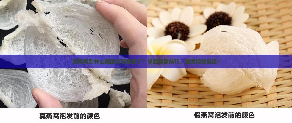 燕窝炖到什么程度才算炖透了？掌握炖煮技巧，避免炖煮误区！