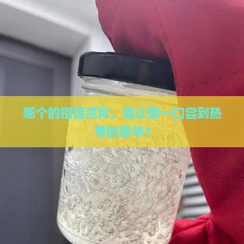 哪个的榴莲燕窝，能让我一口尝到热带的奢华？
