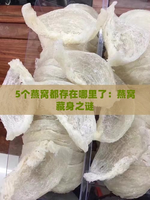 5个燕窝都存在哪里了：燕窝藏身之谜