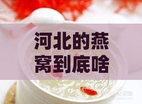 河北的燕窝到底啥价？一斤能买多少感情？