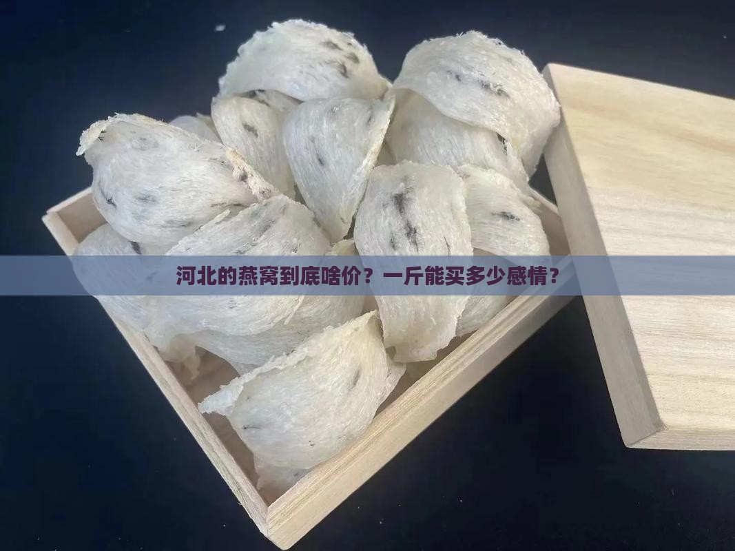 河北的燕窝到底啥价？一斤能买多少感情？