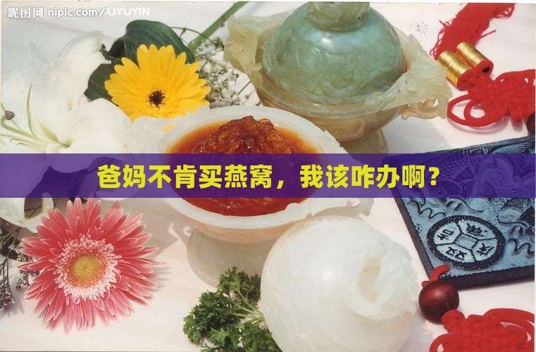 爸妈不肯买燕窝,我该咋办啊? 爸妈不肯买燕窝,我该咋办啊?