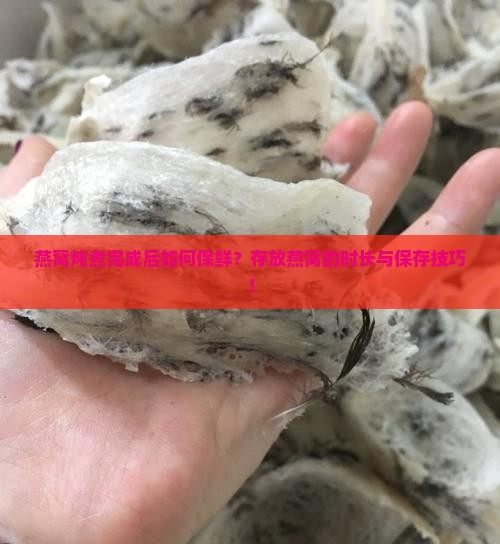 燕窝炖煮完成后如何保鲜？存放燕窝的时长与保存技巧！