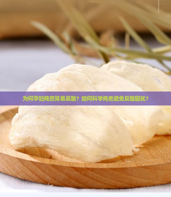 为何孕妇炖燕窝易反酸？如何科学炖煮避免反酸困扰？
