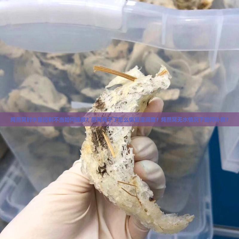 炖燕窝时水量控制不当如何挽救？燕窝炖干了怎么恢复湿润度？炖燕窝无水情况下如何补救？