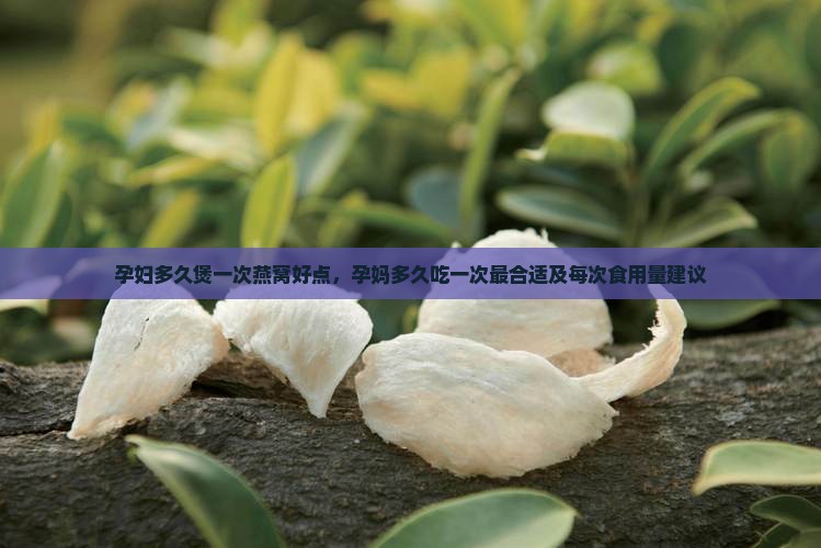 孕妇多久煲一次燕窝好点，孕妈多久吃一次最合适及每次食用量建议