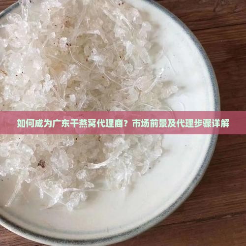 如何成为广东干燕窝代理商？市场前景及代理步骤详解